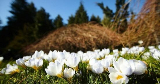 � ����������� � ��������������� ������� ��������� ����������� ������: �� ������� �� +15, � ���� � �� +8