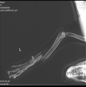 ��������������� �������� ������� ���, ������� ������ ��� �������� � �������� ���������