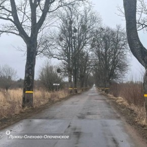 Алексей Беспрозванных: Всегда обращаю внимание на дороги возле наших медучреждений, школ, детсадов и ДК. Выбрали для ремонта, мягко говоря, одни из самых «убитых» и те, о которых просили сами жители
