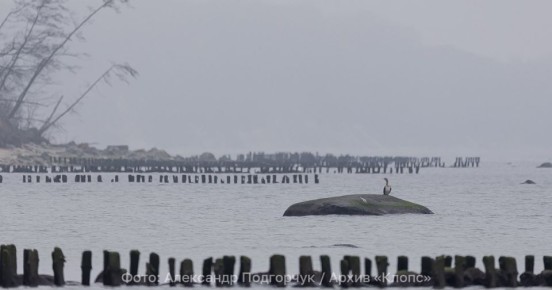 Атмосферные фронты и зоны неустойчивости обойдут Калининград стороной: прогноз погоды на последний понедельник марта