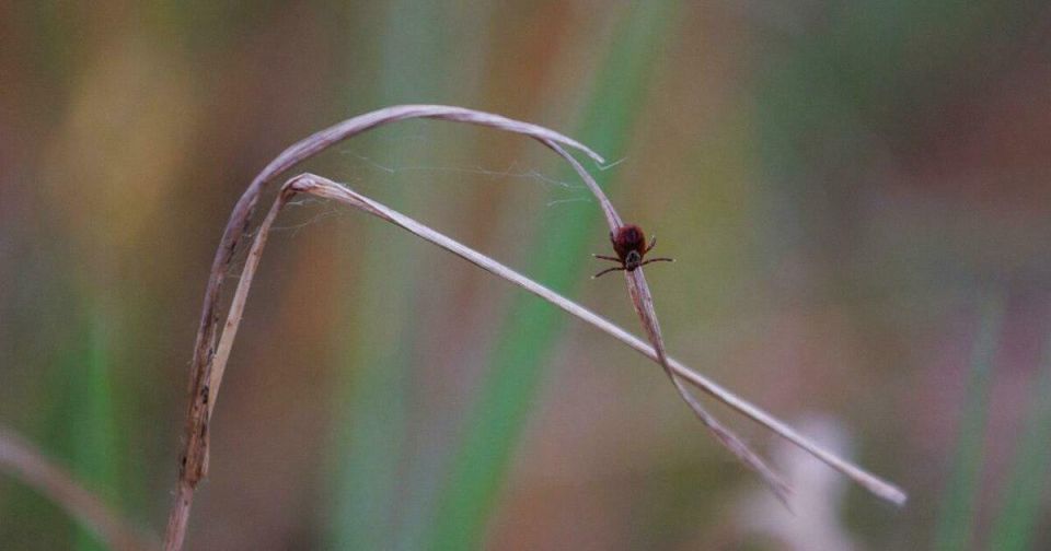 � ��������� ���������, ���� ������������� ������ ������ ����� ����� �����