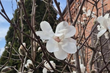 �������! �� ���������� ����� �������� ������ � ������������ ������������ ��������