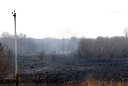 С начала марта в регионе зарегистрировали 234 случая пала травы