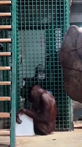 ����������� ������������, � �������� � �� ����������!