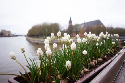 Уже скоро Калининград будет таким