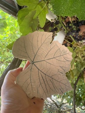 Откройте для себя мир керамики в мастерской «Зарни Ань»