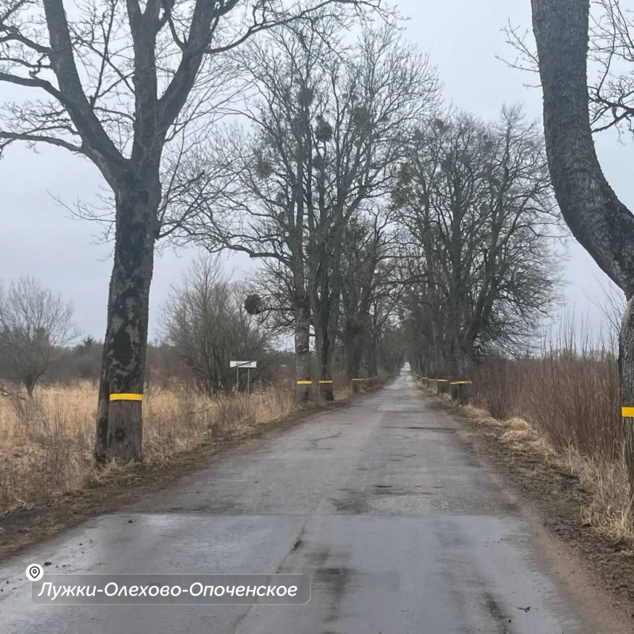 Беспрозванных рассказал о самых разбитых дорогах, которые отремонтируют в этом году