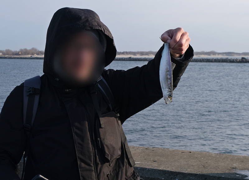 В этом городе под Калининградом туристы уже ловят салаку руками