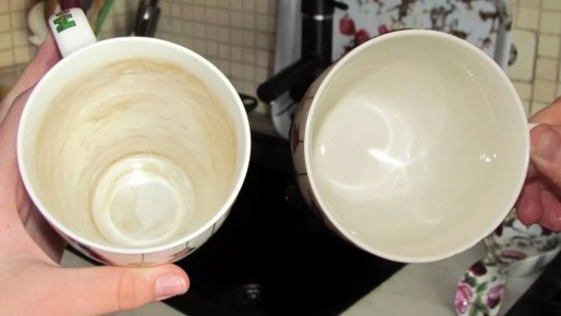 ��� ����� ������� ����� ������������ ���: 5 ������� �������� ���������� �� ������