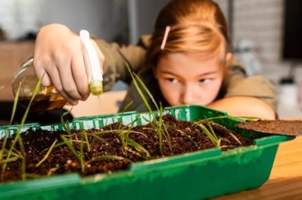 Как вырастить экзотические фрукты на балконе: советы агронома