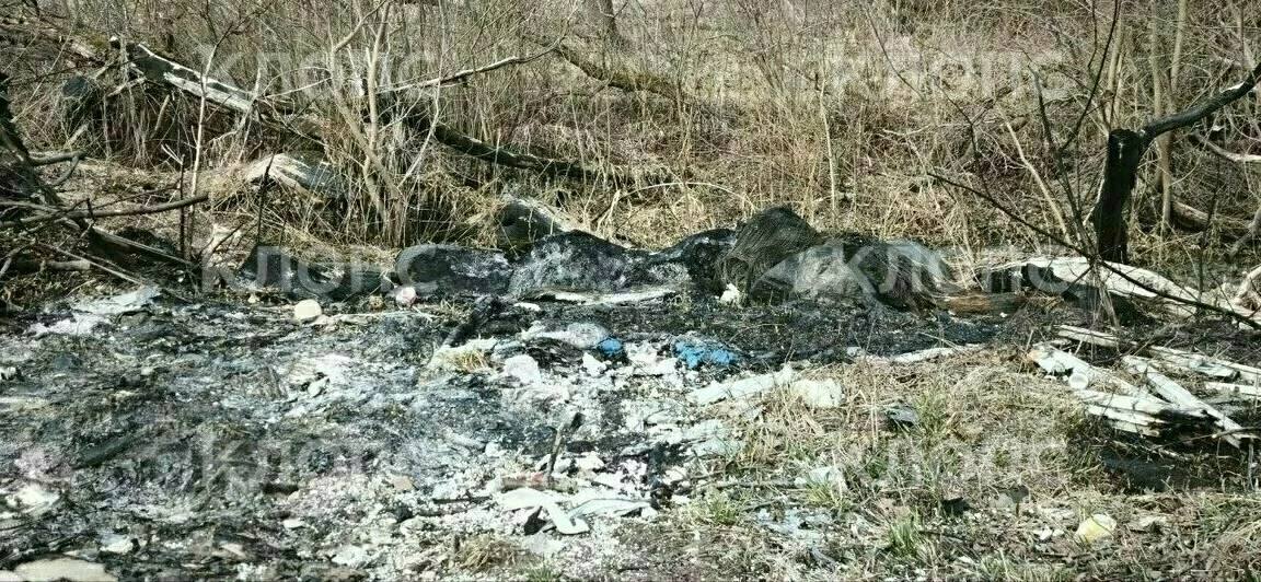 В низине реки Прохладной в Багратионовском районе вновь обнаружили свалку автомобильных покрышек, часть из них сгорела В низине реки Прохладной в Багратионовском районе вновь обнаружили свалку автомобильных покрышек, часть из них сгорела
