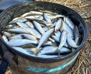 ������� 3 ������� ����� ��������� ���� ����� ���� ��� �������������