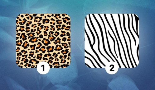 ��� ��������� ����: ��������� ������ ��� ������� �����?