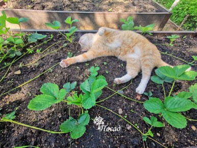 ������ ������� ����� �������� � ������������� ������� ���� �����