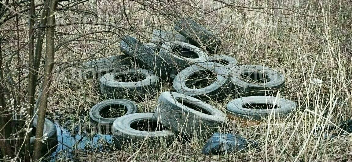 В низине реки Прохладной в Багратионовском районе вновь обнаружили свалку автомобильных покрышек, часть из них сгорела В низине реки Прохладной в Багратионовском районе вновь обнаружили свалку автомобильных покрышек, часть из них сгорела
