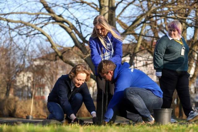 У корпуса БФУ имени Канта в Калининграде высадили аллею сирени