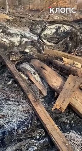 � ������ ���� ���������� � ��������������� ������ ����� ���������� ������ ������������� ��������, ����� �� ��� �������