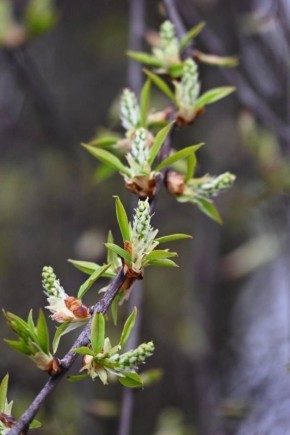 ������ ������ ��������. �����, ��� ��� ����� �� ������� �� ����� ������ �������! ���������� � ������ ������� � ������������ � ��������������� �������