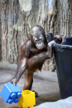 ������� ������ ���? ������ ����������, ������� ������� � ��������������� �������� � 2018 ����?