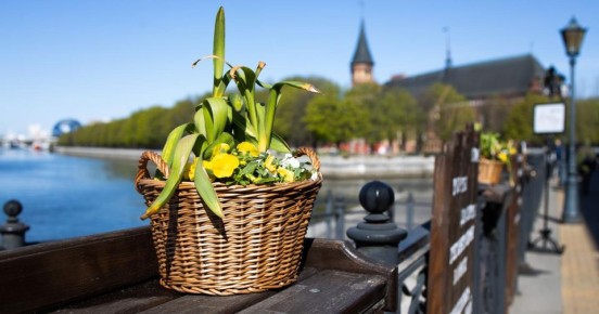 � ������ ��������� ������ ����������� � ������� ����� ��������� �� +15...+18 ��������, � ������� � �� +20