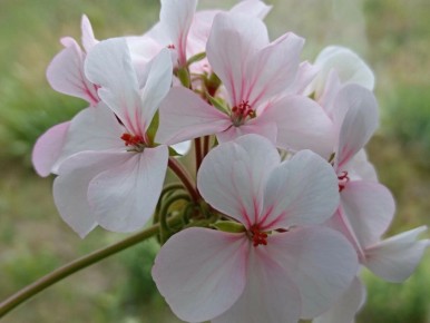 �������� ������ �� ����� �� ������� ��� ������ �������� �� �����