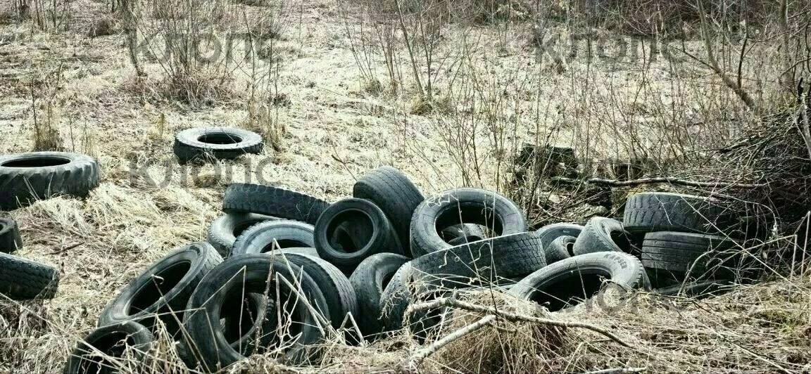 В низине реки Прохладной в Багратионовском районе вновь обнаружили свалку автомобильных покрышек, часть из них сгорела В низине реки Прохладной в Багратионовском районе вновь обнаружили свалку автомобильных покрышек, часть из них сгорела