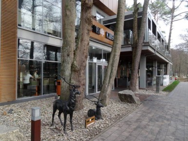 � ���� � ������������� ������� 100 ���