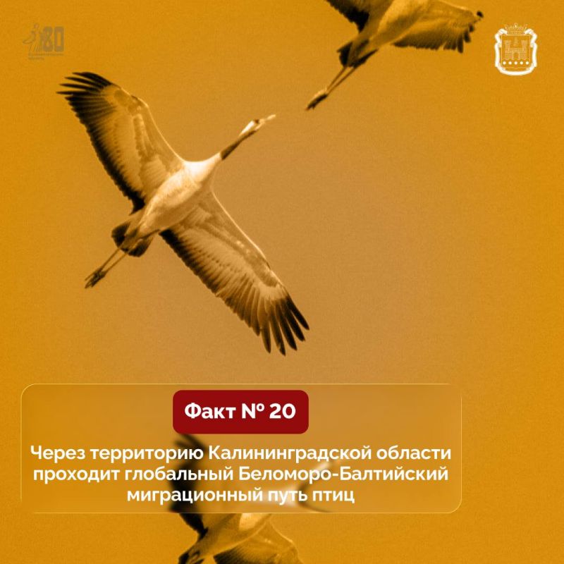 � ������� ������������ �������� �������� ���� � ������ �����������