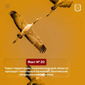 � ������� ������������ �������� �������� ���� � ������ �����������