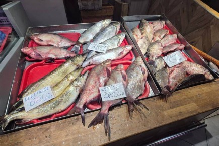 ����������� ���������� �� ���� ����� ������� ����