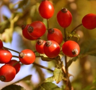 ��� ��������� ������ ��������: ��� ������� ������, ������� ������ �����