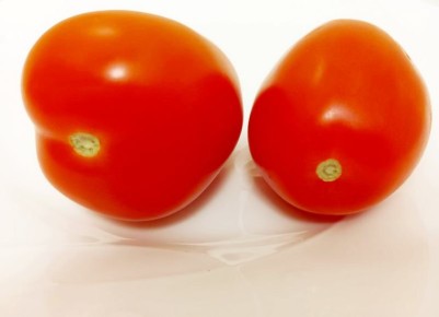 � ��������������� ������� �������� ������� ������� �� ������