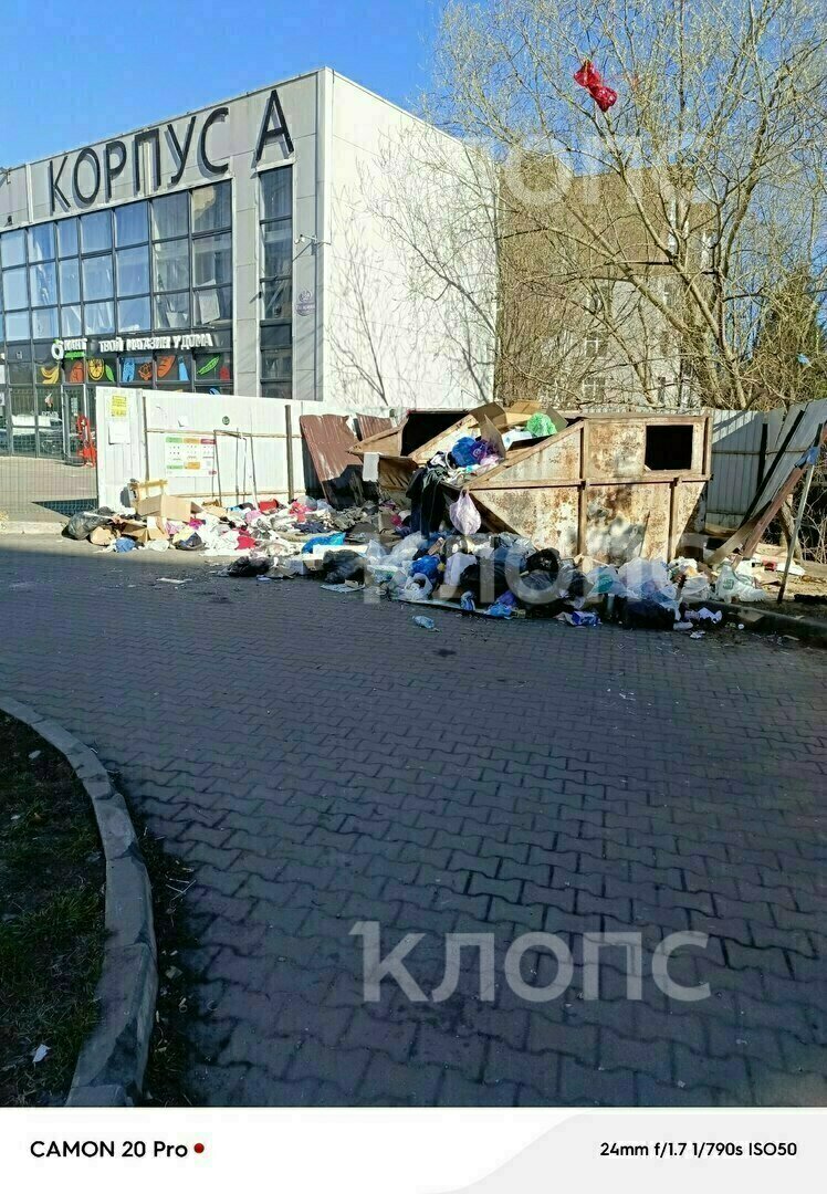 Крысы плодятся, и повсюду «красота»: 5 мест в Калининграде, где не хватает чистоты Крысы плодятся, и повсюду «красота»: 5 мест в Калининграде, где не хватает чистоты