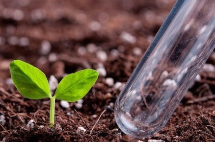 ������ ��� � �������: ���� � ����������