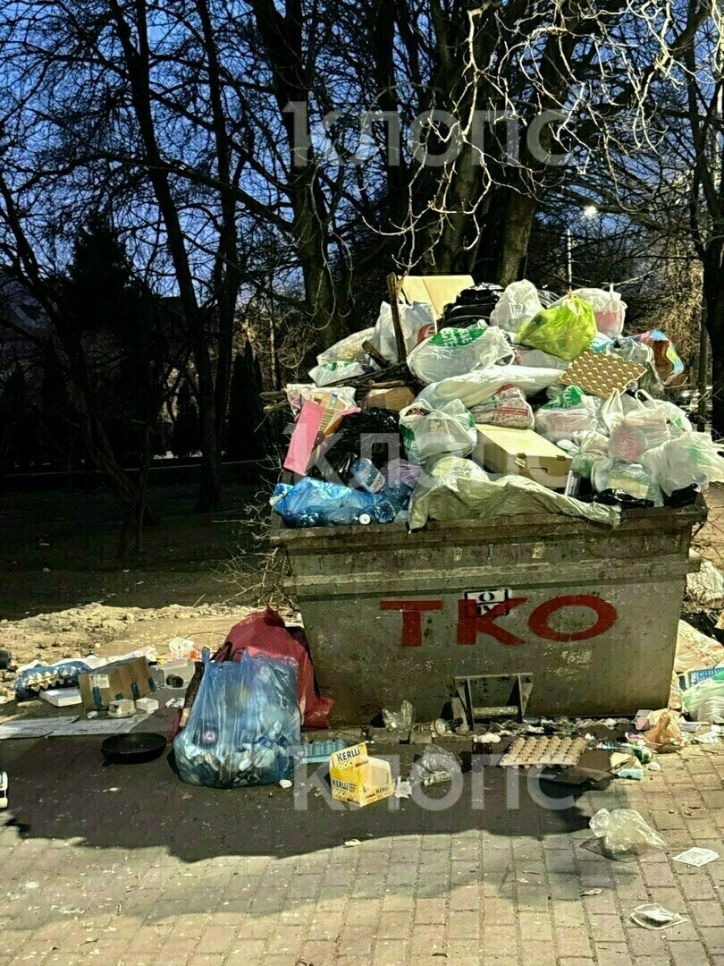 Крысы плодятся, и повсюду «красота»: 5 мест в Калининграде, где не хватает чистоты Крысы плодятся, и повсюду «красота»: 5 мест в Калининграде, где не хватает чистоты