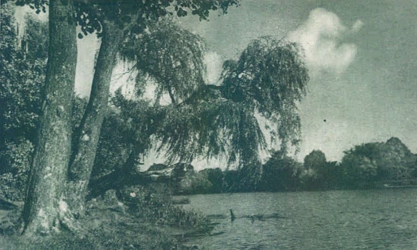 � ���������� 7 ������, � ����� ������ ������ �������, ������������� ���������� ���������� ������������ � ������������ ���������� ���������������� �������: �������� �������, ���� �������� ������������, ����������� ���������...