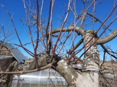 ������� ��������� �������� ��������� ������ � �������