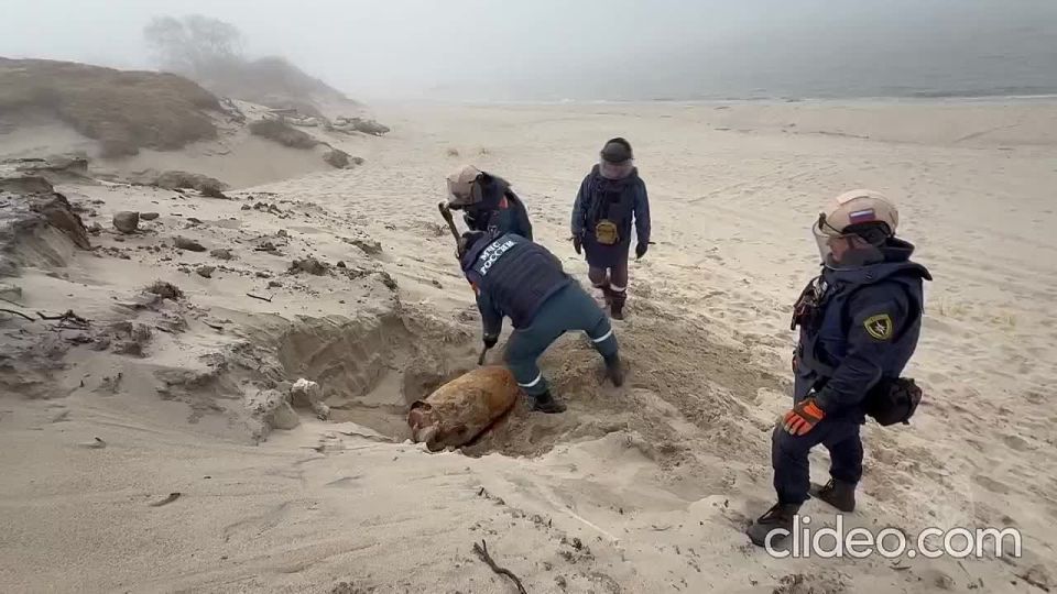 �� ����� ���������� ���� �������� ����������� ����� ��������