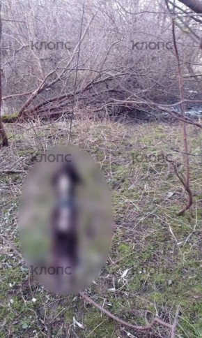 ������ ������ �������� ������� ���� ������, ������� ������� ������ �����