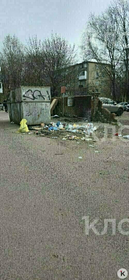 Крысы плодятся, и повсюду «красота»: 5 мест в Калининграде, где не хватает чистоты Крысы плодятся, и повсюду «красота»: 5 мест в Калининграде, где не хватает чистоты