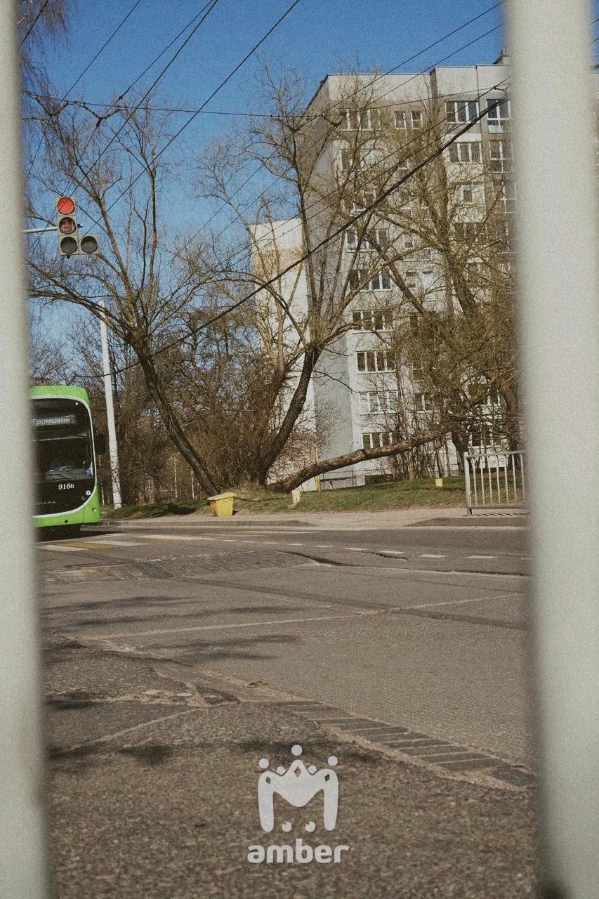 "Провал Дятловой" на Инженерной — Батальной —Судостроительной так и не начали асфальтировать "Провал Дятловой" на Инженерной — Батальной —Судостроительной так и не начали асфальтировать