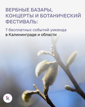 �� ����������� �������� � ��������������� ������� ������������� ��������� �������, �������� � ���������� ����������