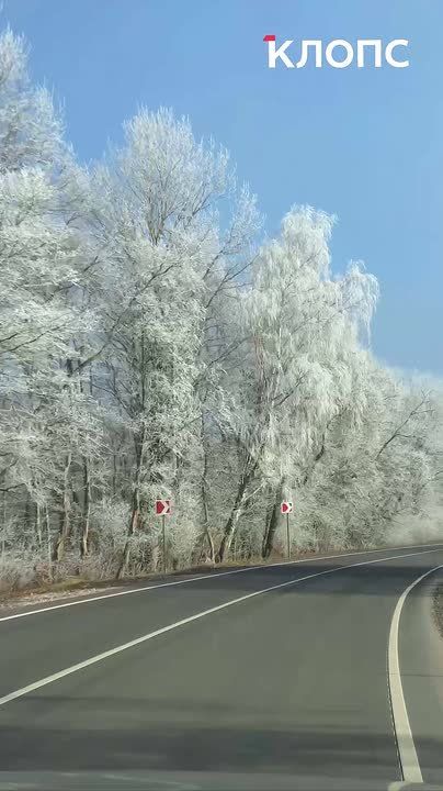 ���� ������� � ������ ��� �� �������, �� ��� ������ ����?