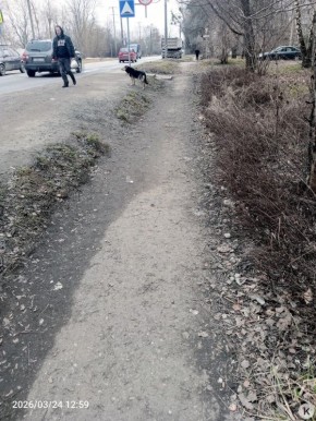 �� ���������� ���������� ������� ������� ��� ����� �����