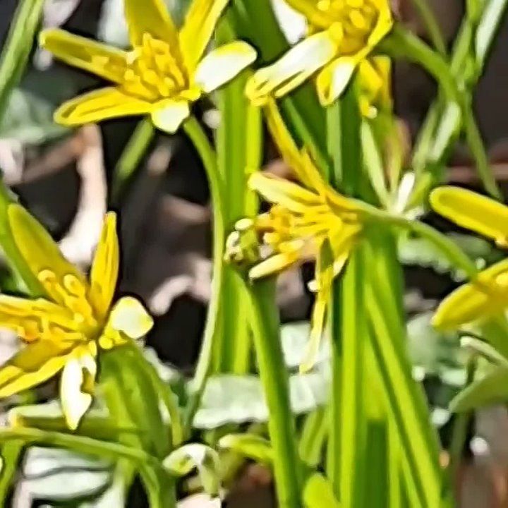 ��� �������� �������� ������������� ������ � ������������