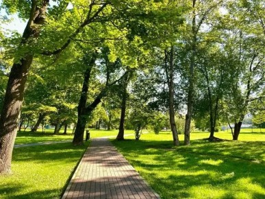 � ������������ � 5 ������ �������� ������� �������� � ������