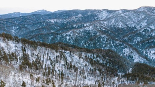 ������� �������� ����� ����� ��� ������������