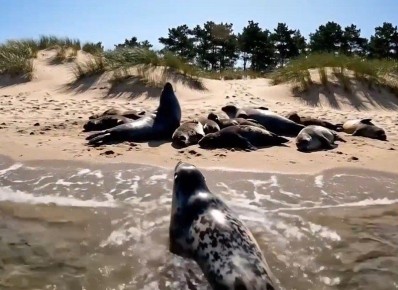 � ��������������� ������� ������� ����� ����� ��������� ������� � �������