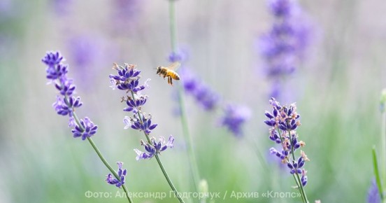 �� ������ � ����������� ������ ������������ ����� ������ ������������ ��