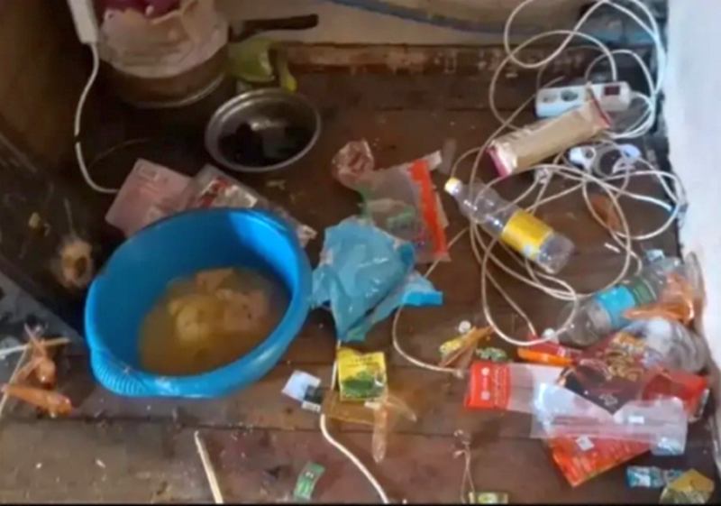 В Славском районе у многодетной 35-летней отобрали шестерых детей В Славском районе у многодетной 35-летней отобрали шестерых детей